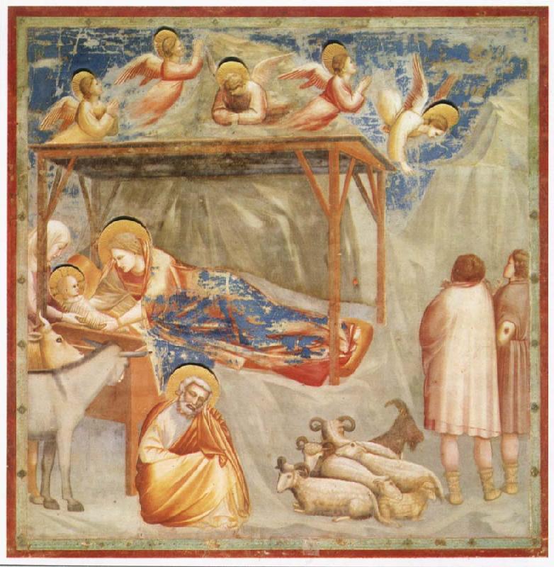 GIOTTO di Bondone Birth of Christ Spain oil painting art